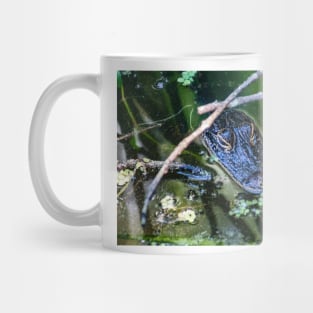 Alligator In The Wild Mug